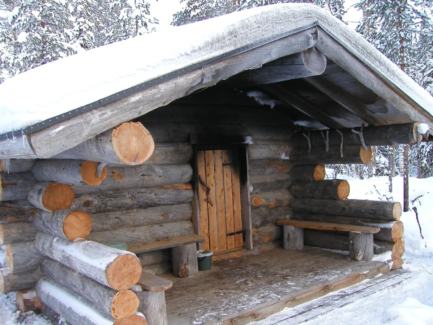 Sauna & Cold Therapy News: August 2026